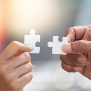 partner Partner freshTalent